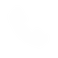 phoneIcon
